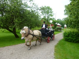 07 I mormors fotspår 2012